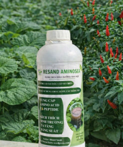 SP2: Resand AminoSea – Dung Dịch Dinh Dưỡng Sinh Học