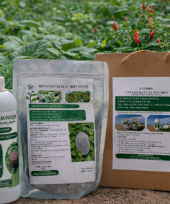 SP3: Combo Cải Tạo Đất Cát Ven Biển